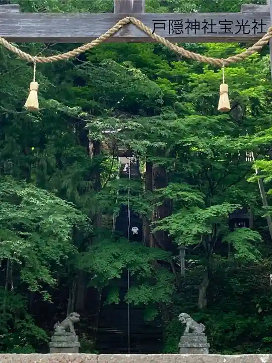 戸隠神社宝光社(長野県)