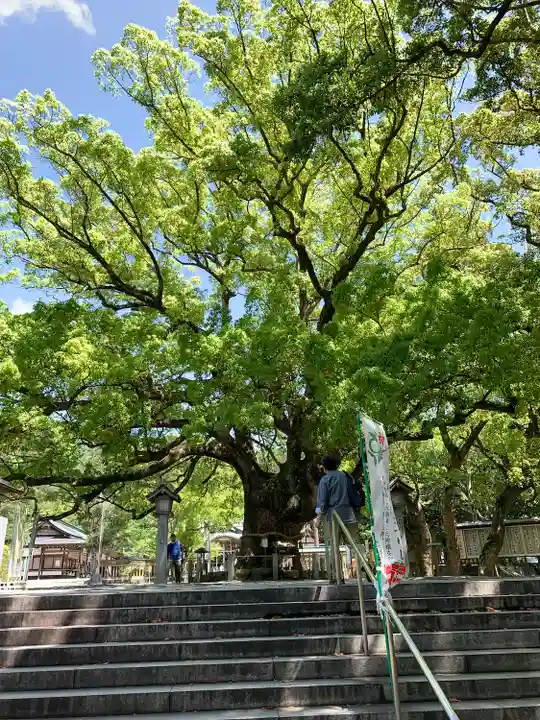 大麻比古神社(徳島県)