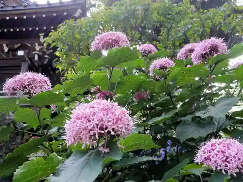 白山神社の自然