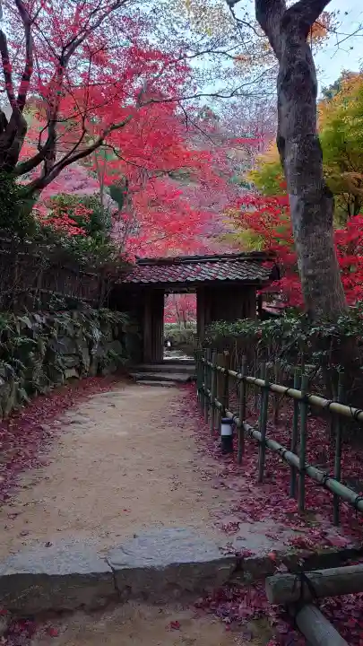 教林坊の{uncategorized: "未分類", other: "その他", undefined: "問題あり", building: "その他建物", grave: "お墓", sacred_gate: "鳥居", guardian: "狛犬", statue: "像", buddha: "仏像", history: "歴史", nature: "自然", garden: "庭園", animal: "動物", pagoda: "塔", temizu: "手水舎", mountain_gate: "山門・神門", sanctuary: "本殿・本堂", subordinate: "末社・摂社", art: "芸術", scenery: "景色", jizo: "地蔵", ema: "絵馬", goshuin: "御朱印", omikuji: "おみくじ", items: "授与品その他", amulet: "お守り", goshuincho: "御朱印帳", eats: "食事", festival: "お祭り", votive_dance: "神楽", shichigosan: "七五三参", wedding: "結婚式", experience: "体験その他", initially: "初詣", around: "周辺", anti_infection: "感染症対策"}