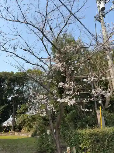 綱越神社（大神神社摂社）の{uncategorized: "未分類", other: "その他", undefined: "問題あり", building: "その他建物", grave: "お墓", sacred_gate: "鳥居", guardian: "狛犬", statue: "像", buddha: "仏像", history: "歴史", nature: "自然", garden: "庭園", animal: "動物", pagoda: "塔", temizu: "手水舎", mountain_gate: "山門・神門", sanctuary: "本殿・本堂", subordinate: "末社・摂社", art: "芸術", scenery: "景色", jizo: "地蔵", ema: "絵馬", goshuin: "御朱印", omikuji: "おみくじ", items: "授与品その他", amulet: "お守り", goshuincho: "御朱印帳", eats: "食事", festival: "お祭り", votive_dance: "神楽", shichigosan: "七五三参", wedding: "結婚式", experience: "体験その他", initially: "初詣", around: "周辺", anti_infection: "感染症対策"}