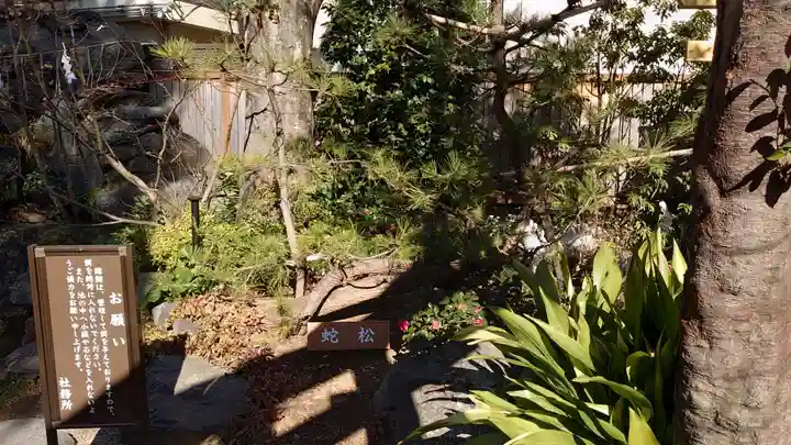 蛇窪神社(東京都)