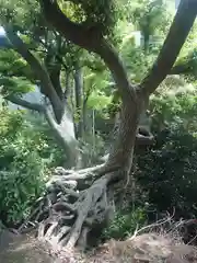 品川神社(東京都)