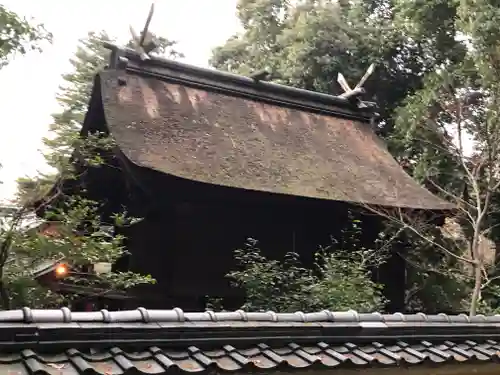 神谷神社の本殿・本堂