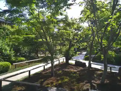 宝珠山　観泉寺(東京都)