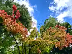 手長神社の自然