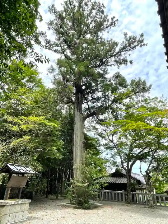 吉御子神社(滋賀県)