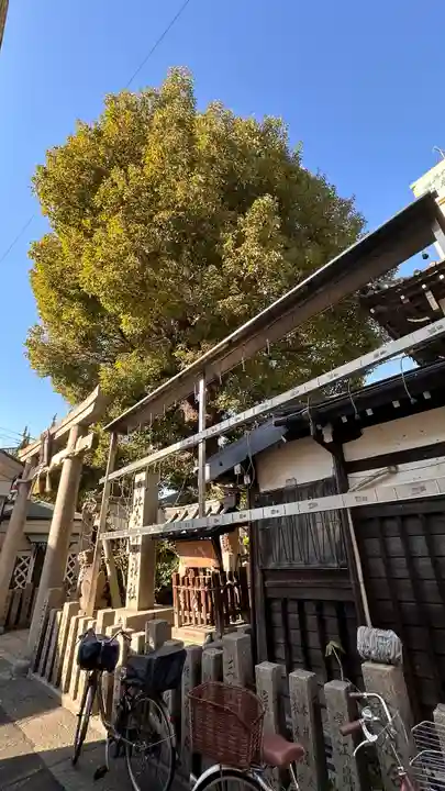 比賣許曾神社(大阪府)