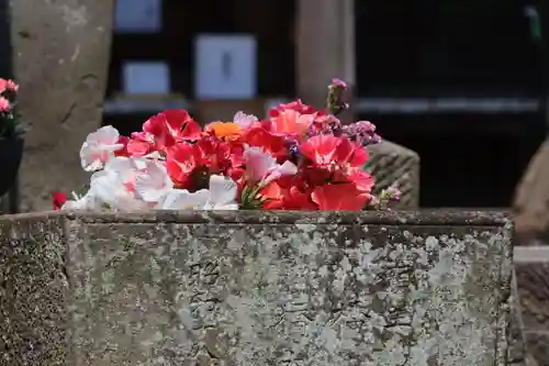 熊野福藏神社の手水