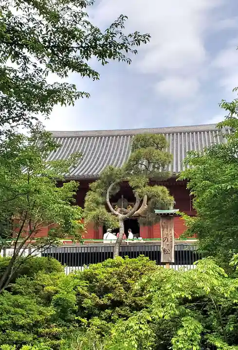 清水観音堂(東京都)