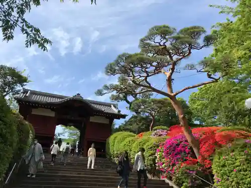 護国寺のその他建物