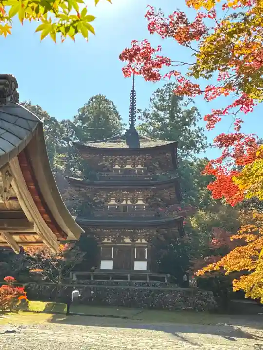 西明寺の{uncategorized: "未分類", other: "その他", undefined: "問題あり", building: "その他建物", grave: "お墓", sacred_gate: "鳥居", guardian: "狛犬", statue: "像", buddha: "仏像", history: "歴史", nature: "自然", garden: "庭園", animal: "動物", pagoda: "塔", temizu: "手水舎", mountain_gate: "山門・神門", sanctuary: "本殿・本堂", subordinate: "末社・摂社", art: "芸術", scenery: "景色", jizo: "地蔵", ema: "絵馬", goshuin: "御朱印", omikuji: "おみくじ", items: "授与品その他", amulet: "お守り", goshuincho: "御朱印帳", eats: "食事", festival: "お祭り", votive_dance: "神楽", shichigosan: "七五三参", wedding: "結婚式", experience: "体験その他", initially: "初詣", around: "周辺", anti_infection: "感染症対策"}