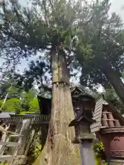 三峯神社(埼玉県)