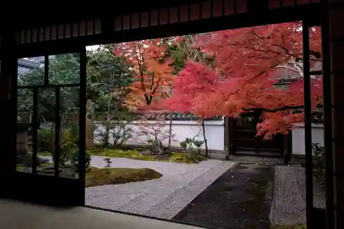 真正極楽寺（真如堂）(京都府)