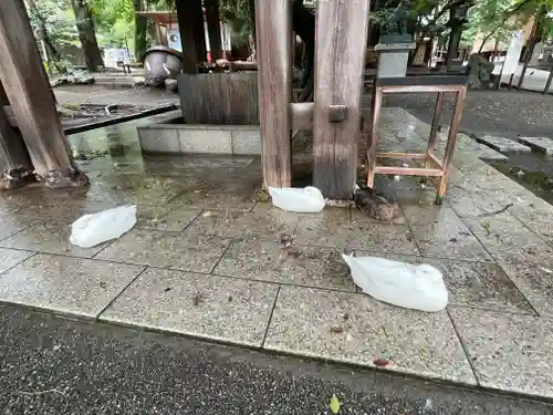 平塚八幡宮(神奈川県)