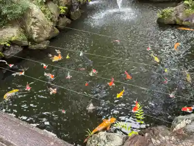 建部大社(滋賀県)