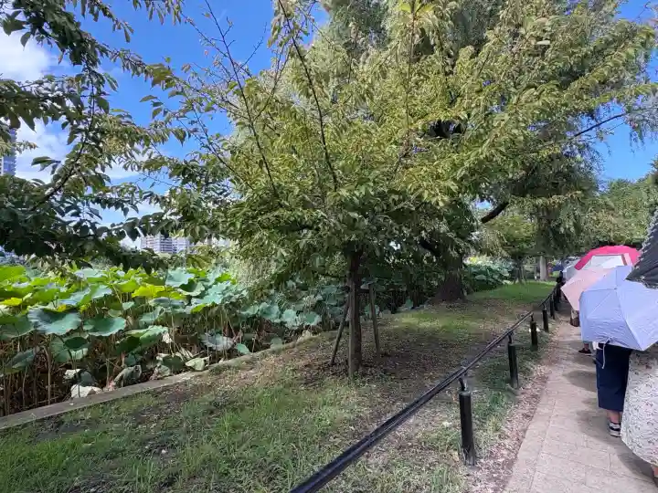 寛永寺不忍池弁天堂の自然