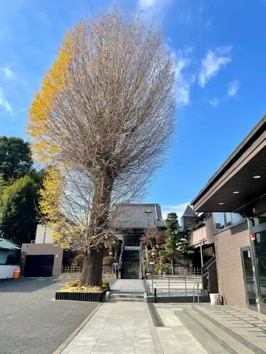 廣源院東福寺(東京都)