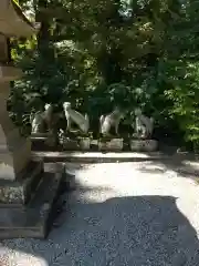 胡桃下稲荷神社の狛犬