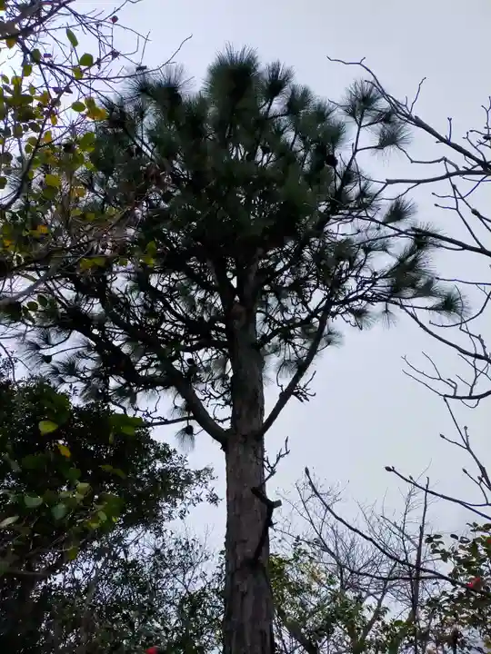 顕常寺(大阪府)