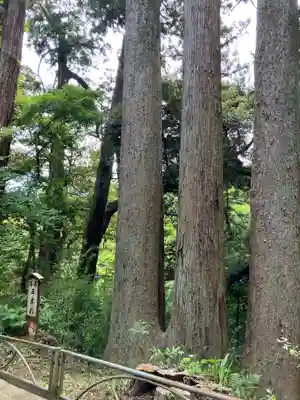 笠森寺(千葉県)