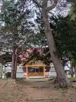 神山稲荷神社の{uncategorized: "未分類", other: "その他", undefined: "問題あり", building: "その他建物", grave: "お墓", sacred_gate: "鳥居", guardian: "狛犬", statue: "像", buddha: "仏像", history: "歴史", nature: "自然", garden: "庭園", animal: "動物", pagoda: "塔", temizu: "手水舎", mountain_gate: "山門・神門", sanctuary: "本殿・本堂", subordinate: "末社・摂社", art: "芸術", scenery: "景色", jizo: "地蔵", ema: "絵馬", goshuin: "御朱印", omikuji: "おみくじ", items: "授与品その他", amulet: "お守り", goshuincho: "御朱印帳", eats: "食事", festival: "お祭り", votive_dance: "神楽", shichigosan: "七五三参", wedding: "結婚式", experience: "体験その他", initially: "初詣", around: "周辺", anti_infection: "感染症対策"}