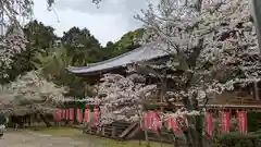 醍醐寺(京都府)