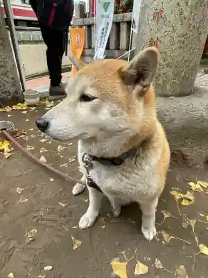 笠䅣稲荷神社(神奈川県)