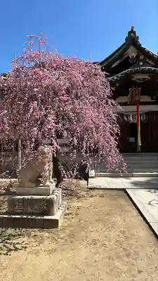 屯倉神社(大阪府)