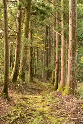 高峯神社(高知県)