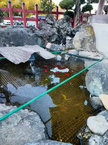 埴生神社の動物