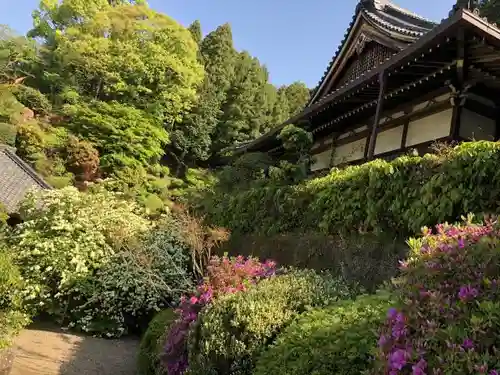 船宿寺の庭園