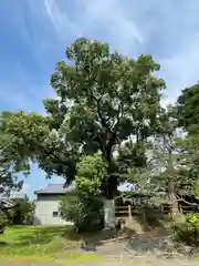 春日神社(長崎県)