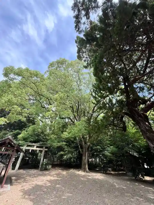 野々宮神社(大阪府)