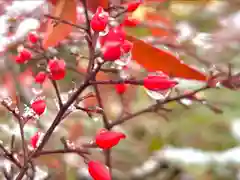 善光寺大本願(長野県)