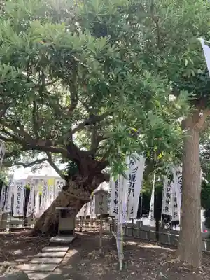 龍口明神社の自然