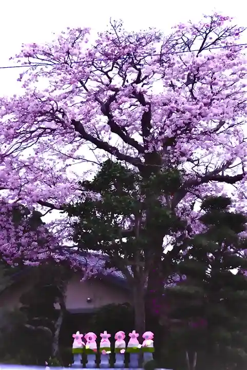 光明寺(静岡県)