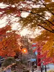 志波彦神社・鹽竈神社の自然