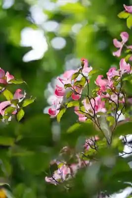 伊勢の国 四天王寺(三重県)