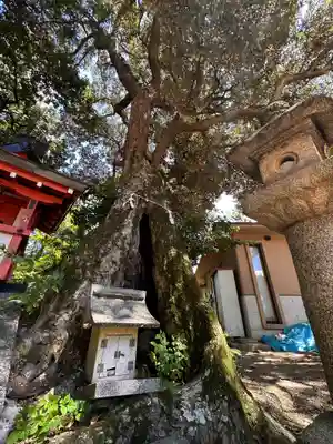 楢神社(奈良県)