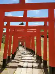 高屋敷稲荷神社の鳥居