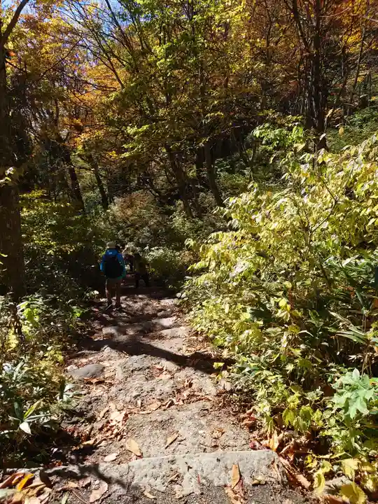 戸隠神社奥社(長野県)