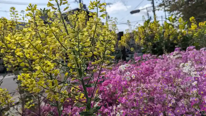 六孫王神社(京都府)