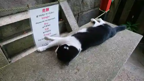 伏見稲荷大社の動物