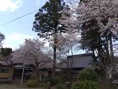 日朝寺(新潟県)