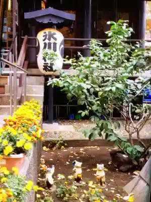 高円寺氷川神社(東京都)