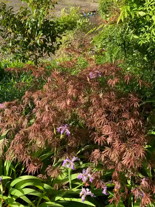 横浜 西方寺の自然