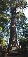 麻賀多神社の自然