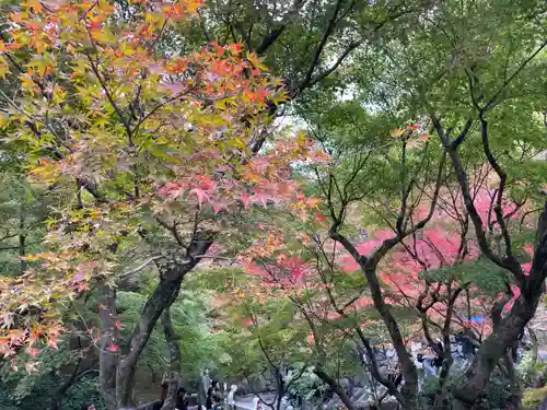 東福禅寺（東福寺）(京都府)