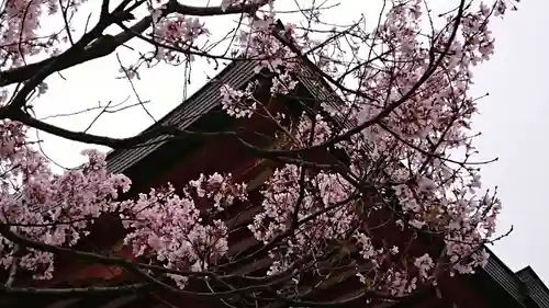 瀧泉寺（目黒不動尊）の自然